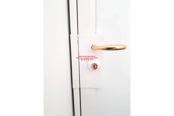 cylindre fichet 787 z pour fichet vertipoint T